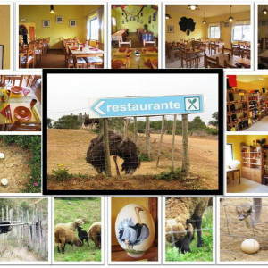 Restaurante Mundo Rural