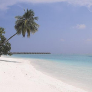 Lua de mel de sonho nas Maldivas