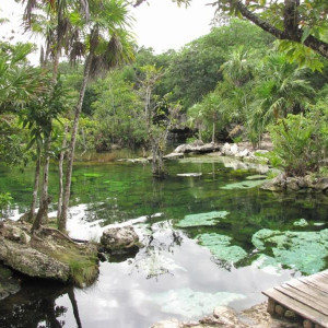 cenote AZUL (800x600)