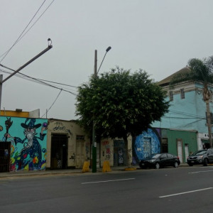 Lima 8