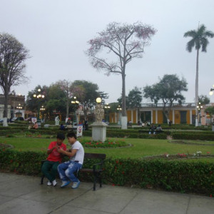 Lima 10