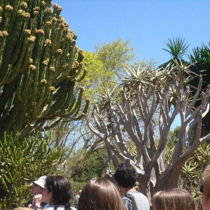 Jardín Botánico de Gran Canaria