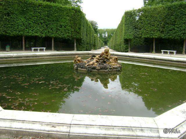 dChâteau Versailles - Fonte de Baco -------.JPG