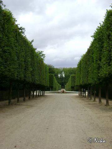 dChâteau Versailles - Jardins.JPG