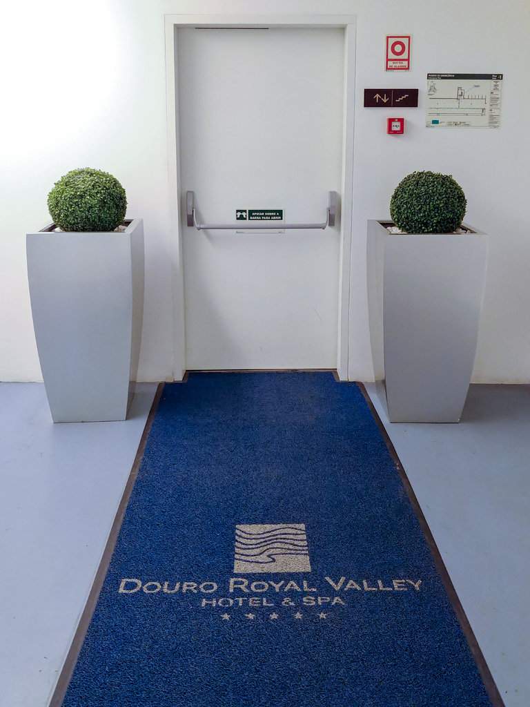 Douro Royal Valley (48)
