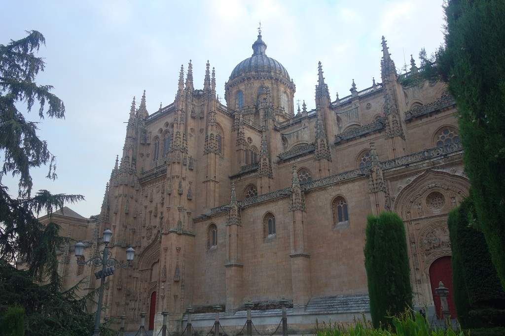 Salamanca 5