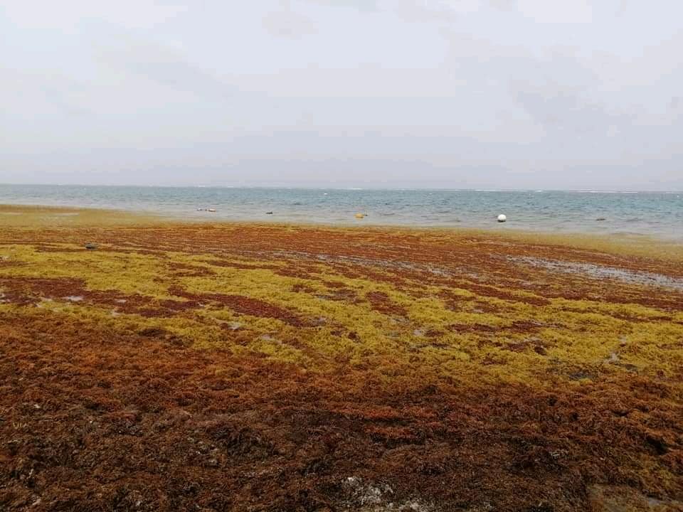 105554453_127626798977874_28250067154606732_n.jpg