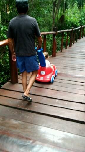 1503854251049[1].jpg