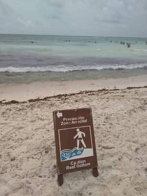 1503974924027[1].jpg