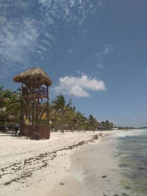 1504027958931[1].jpg