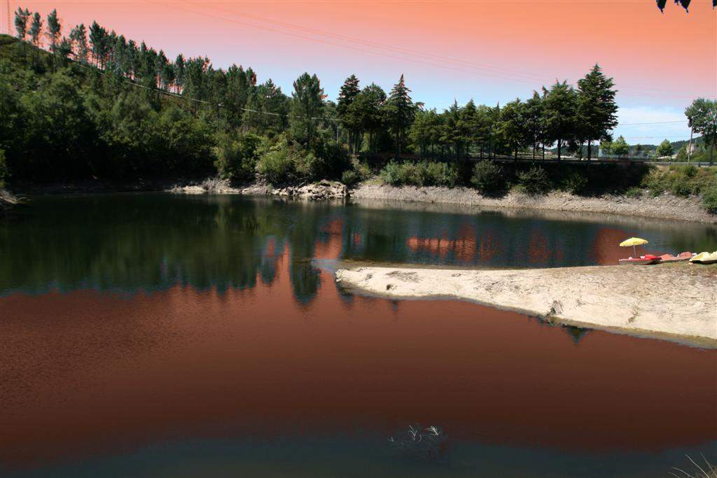1_aIMG_1583__Large_.jpg