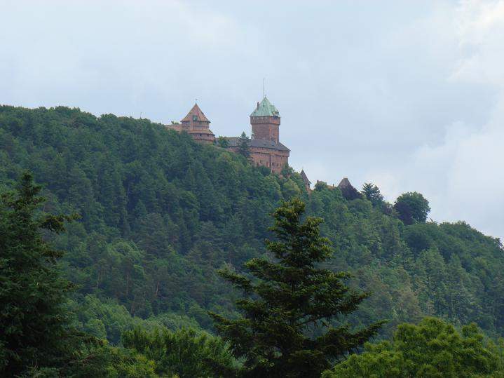 1_DSC00916.JPG