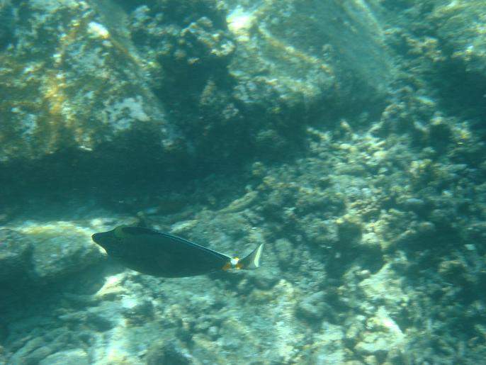 1_DSC05485.JPG