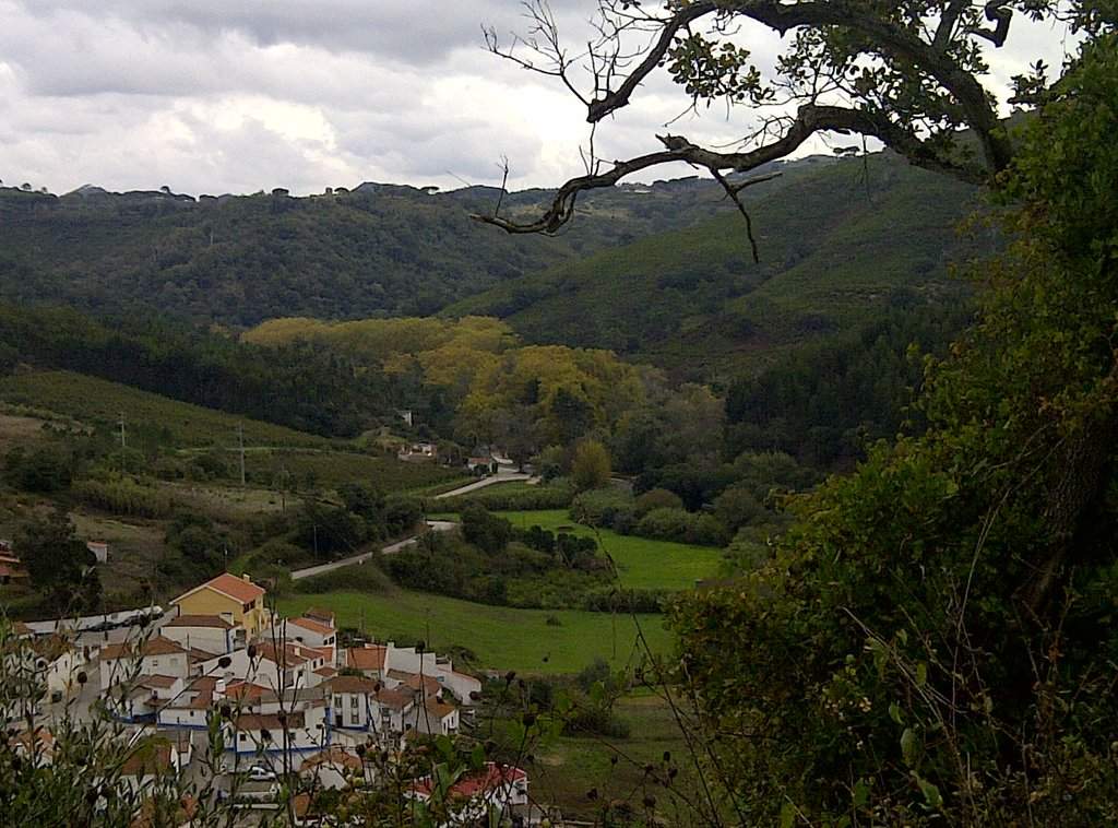 20121102-00347.jpg