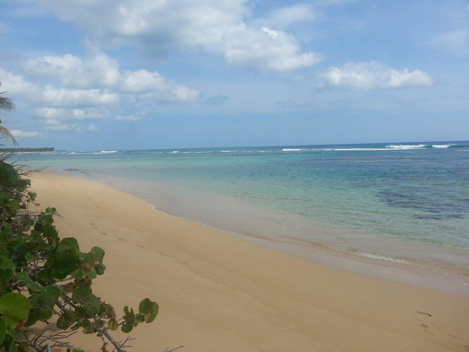 20130503_095845.jpg