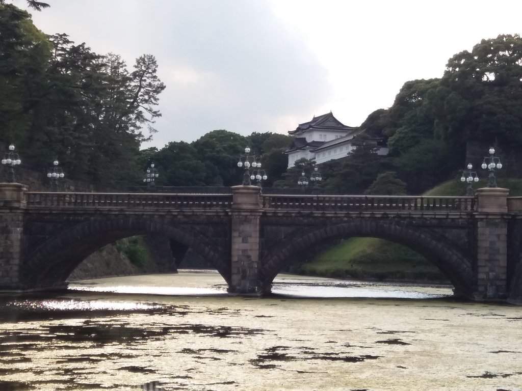 20170605_163037.jpg