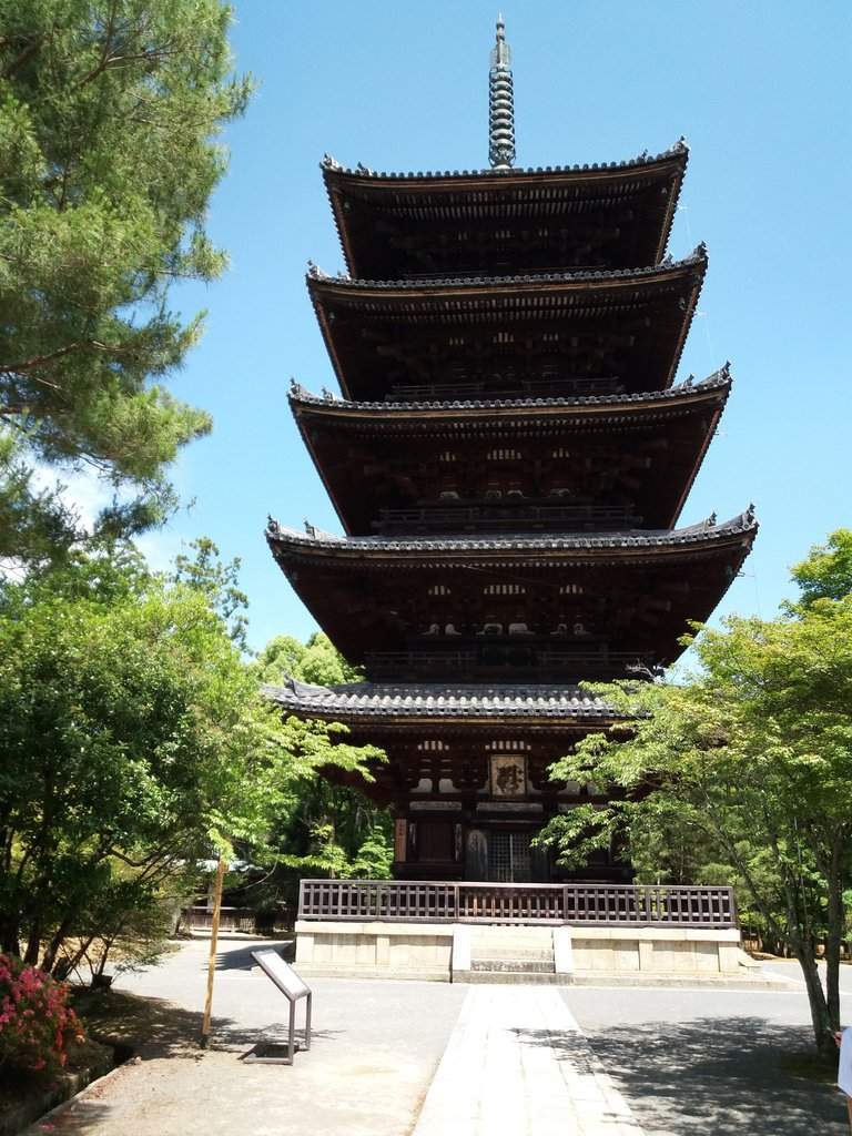 20170609_132946.jpg