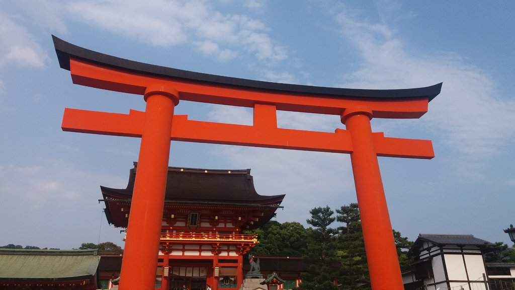 20170610_163105.jpg