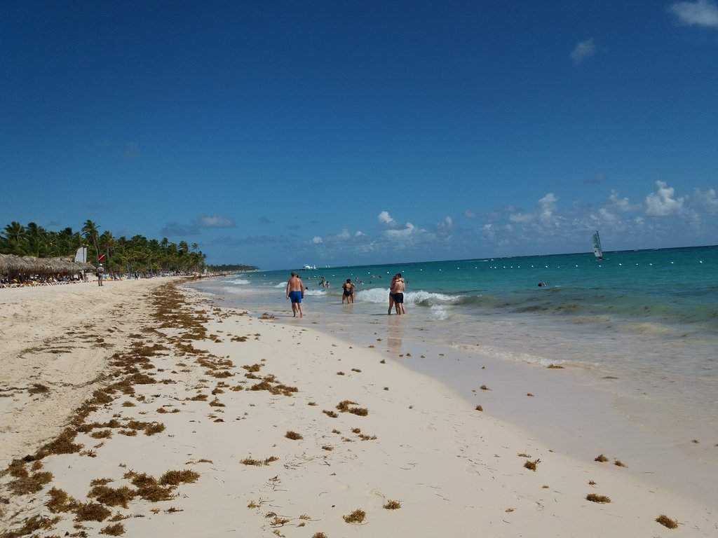 20170806_145138.jpg