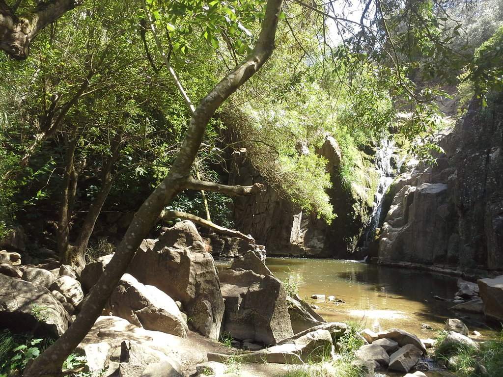 20170806_153111.jpg