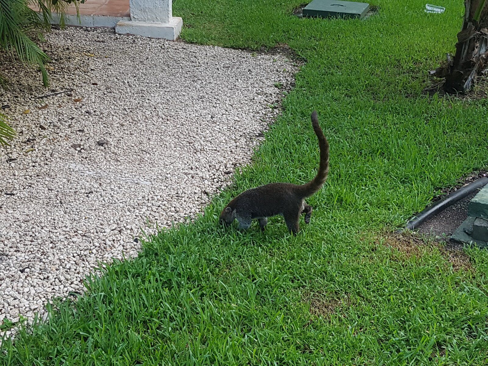 20170912_072311.jpg