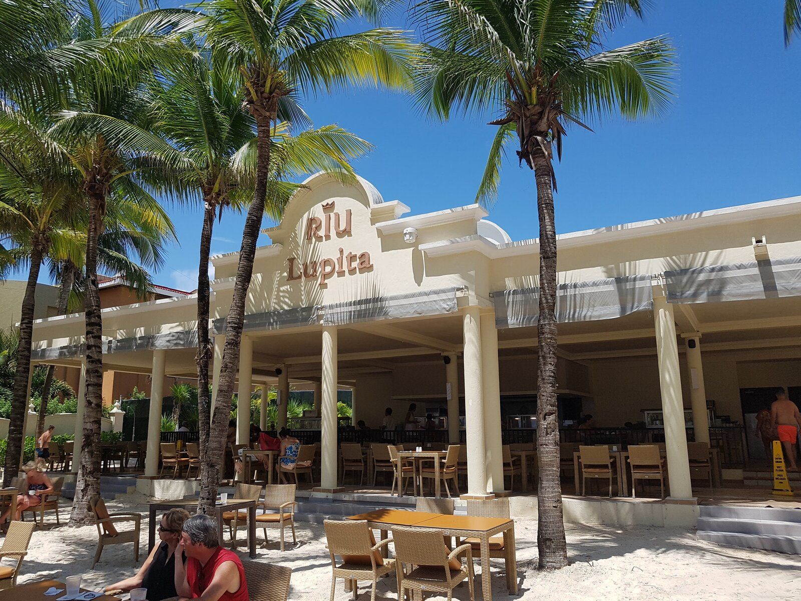 20170913_120224.jpg