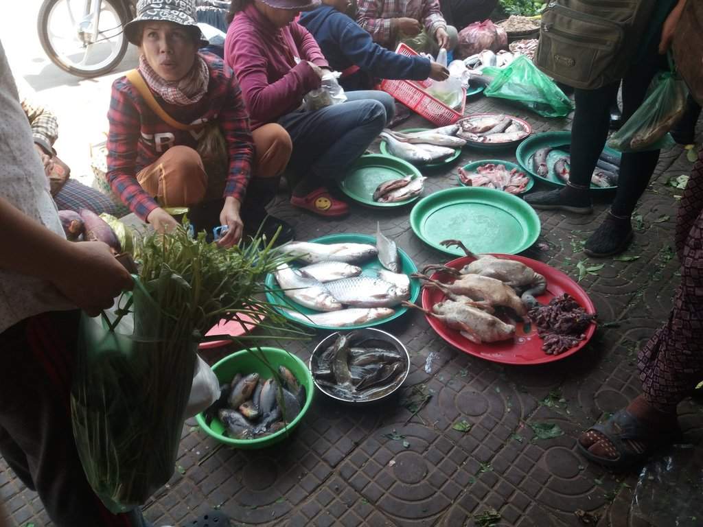 20180204_121305.jpg