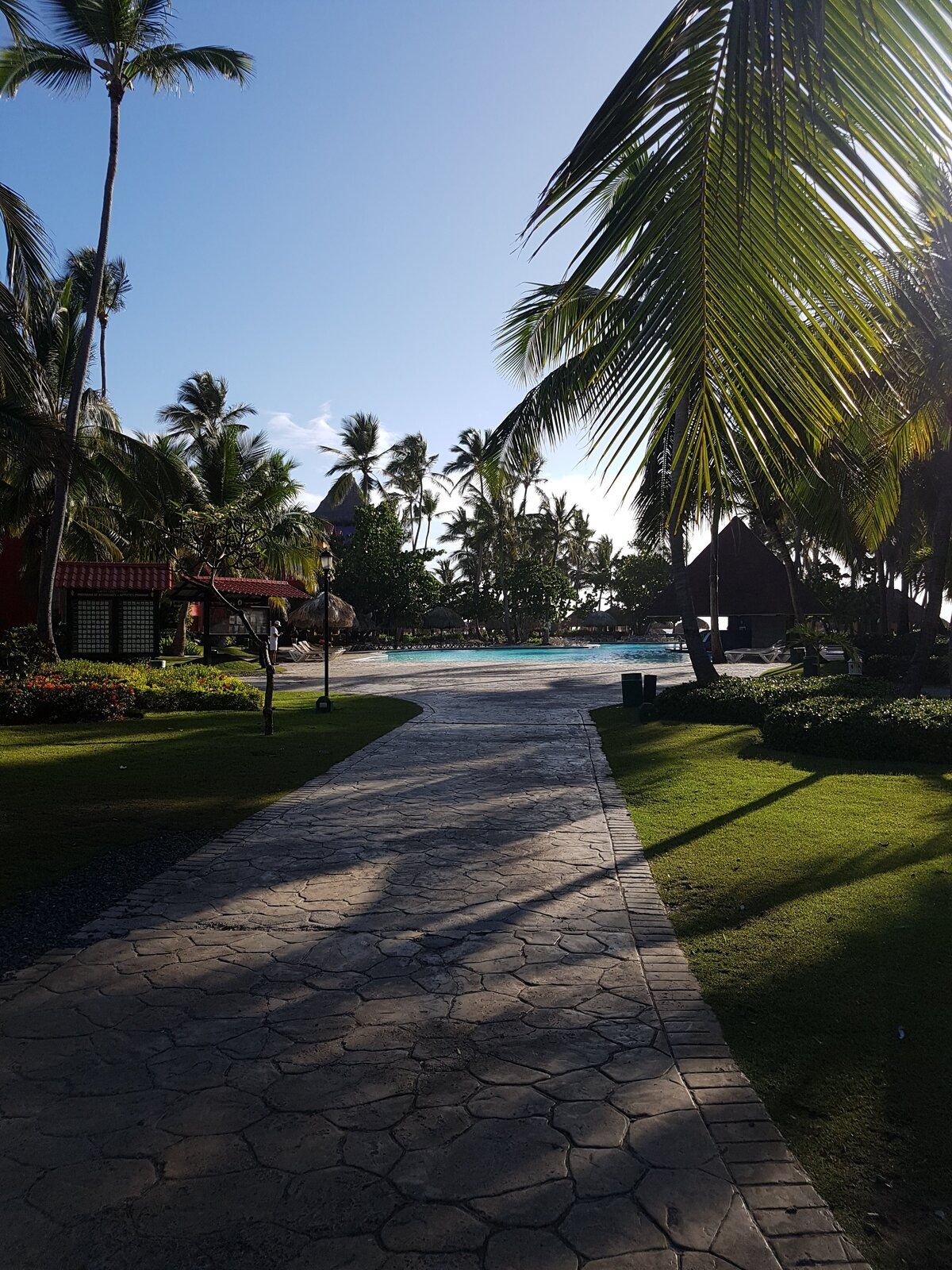 20180508_074316.jpg