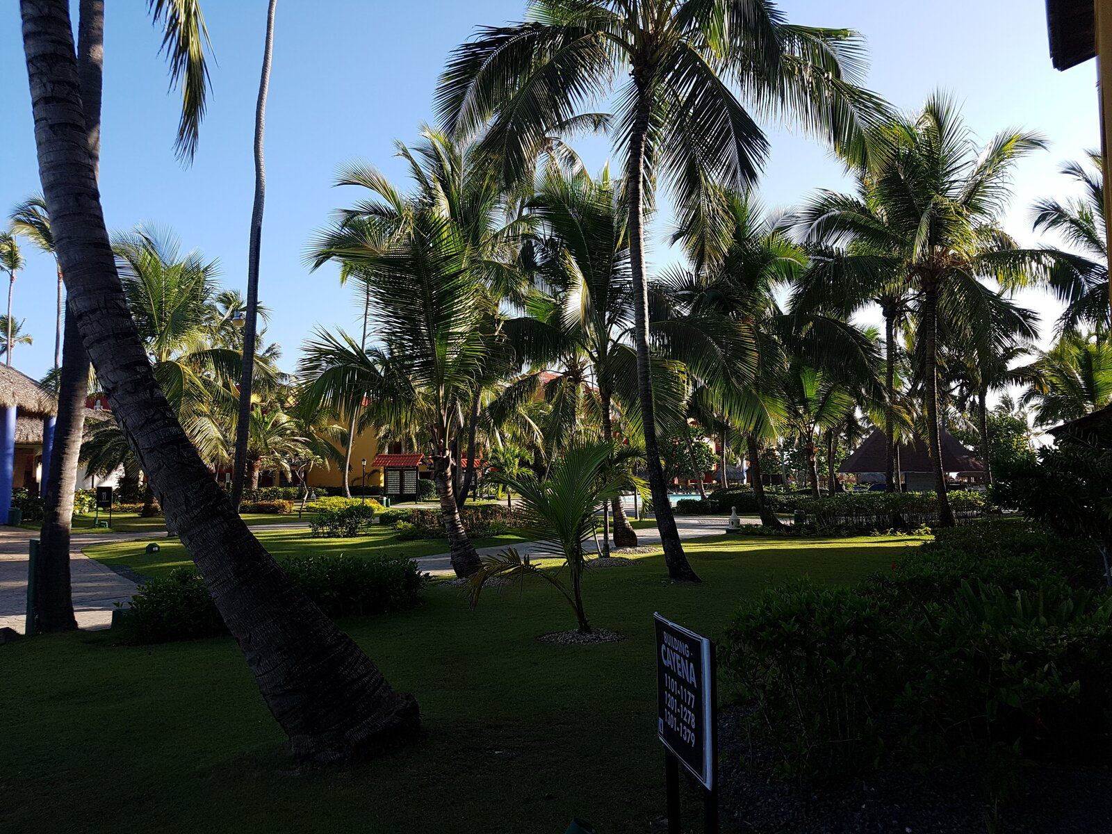 20180508_074610.jpg