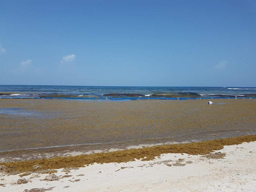 20180629_145646.jpg