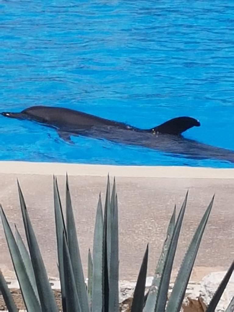 20180630_115052.jpg
