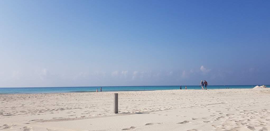 20180703_084018.jpg