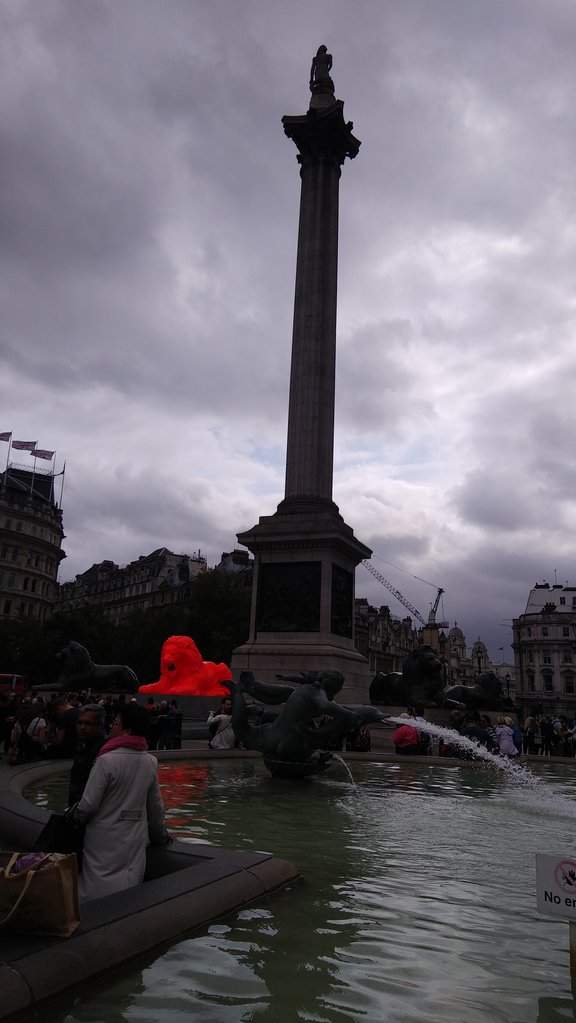 20180920_123510.jpg
