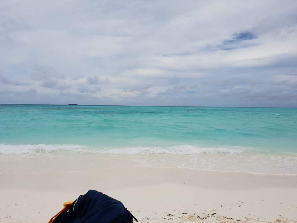 20180922_120328.jpg