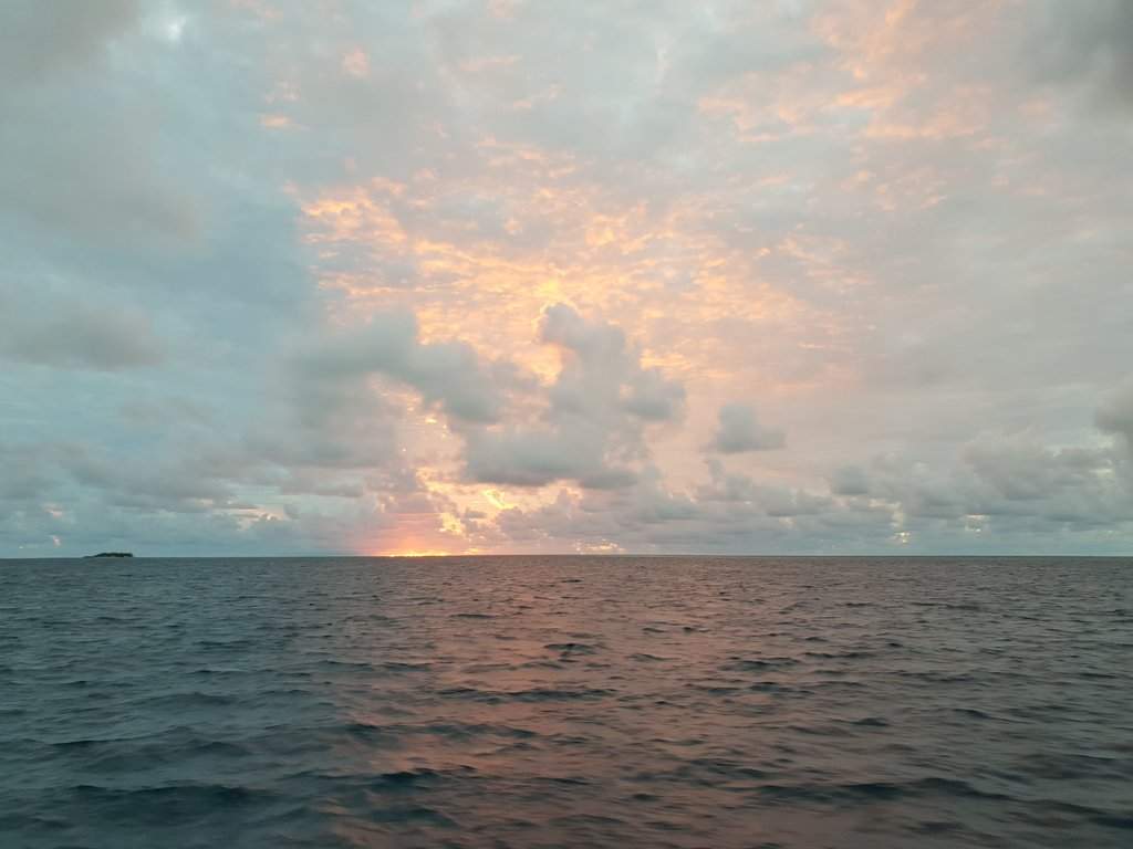 20180923_180230.jpg