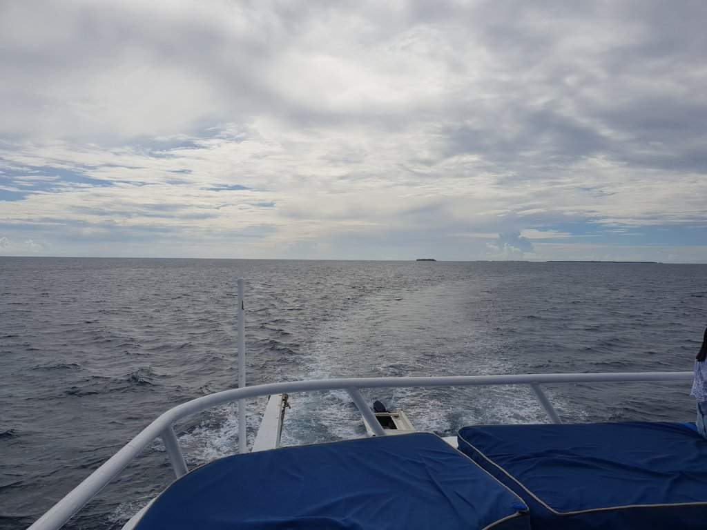 20180924_151105.jpg
