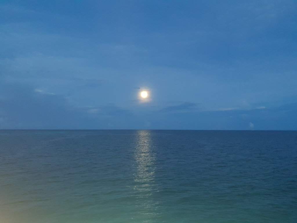 20180924_182023.jpg