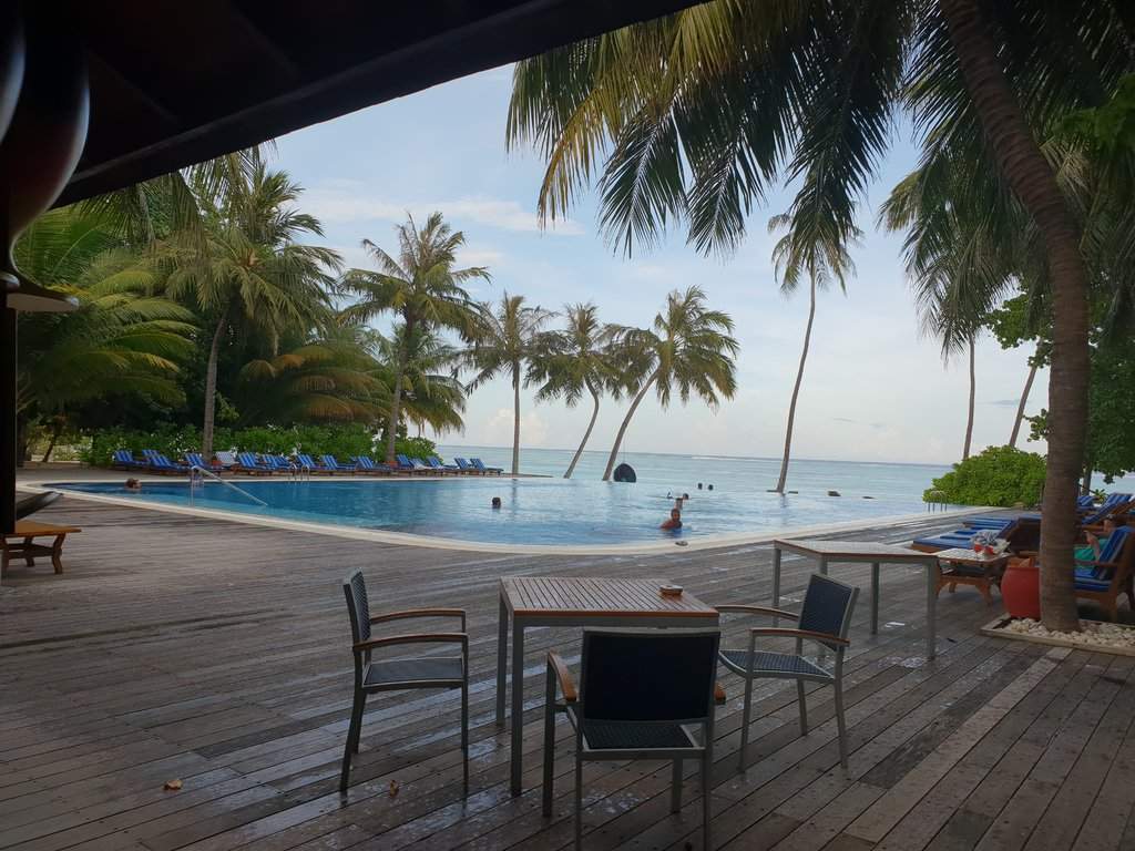 20180925_170638.jpg