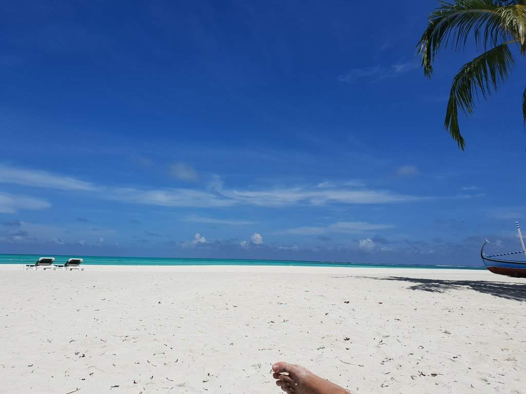 20180926_103427.jpg