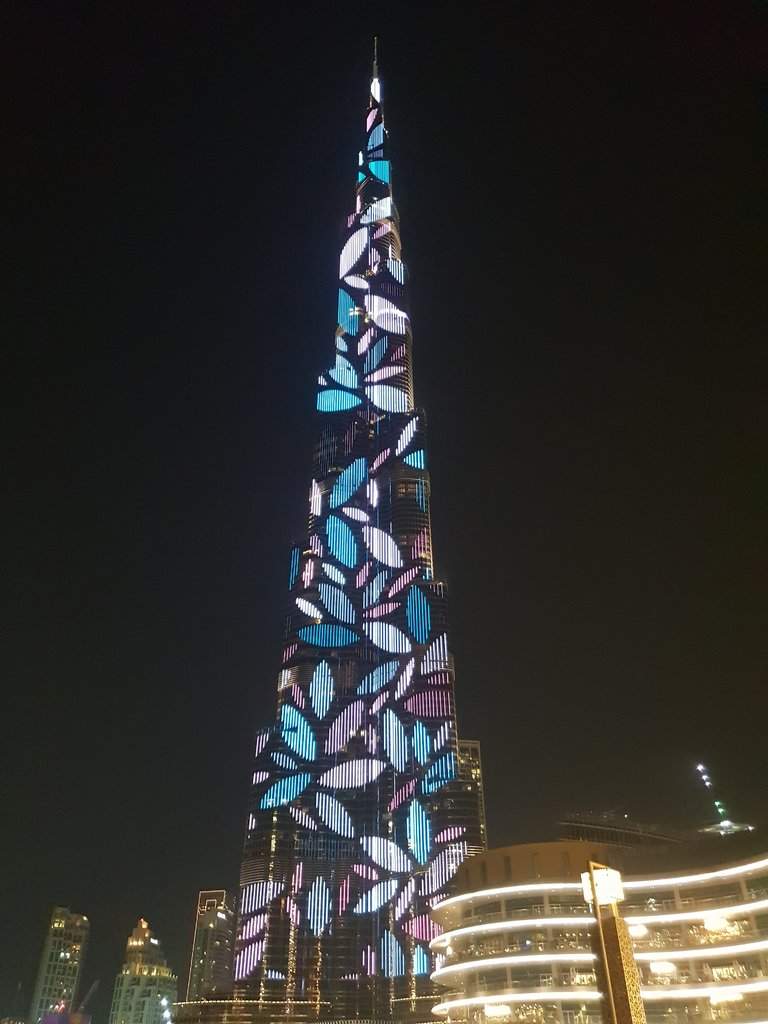20180927_191724.jpg