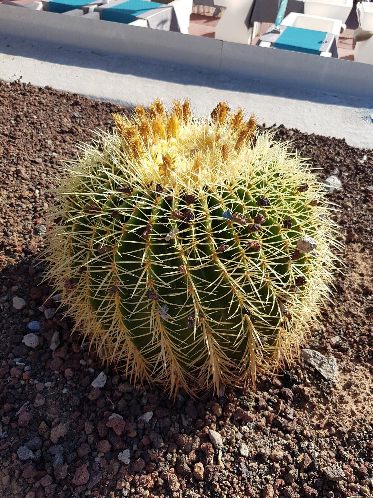 20181019_171941.jpg
