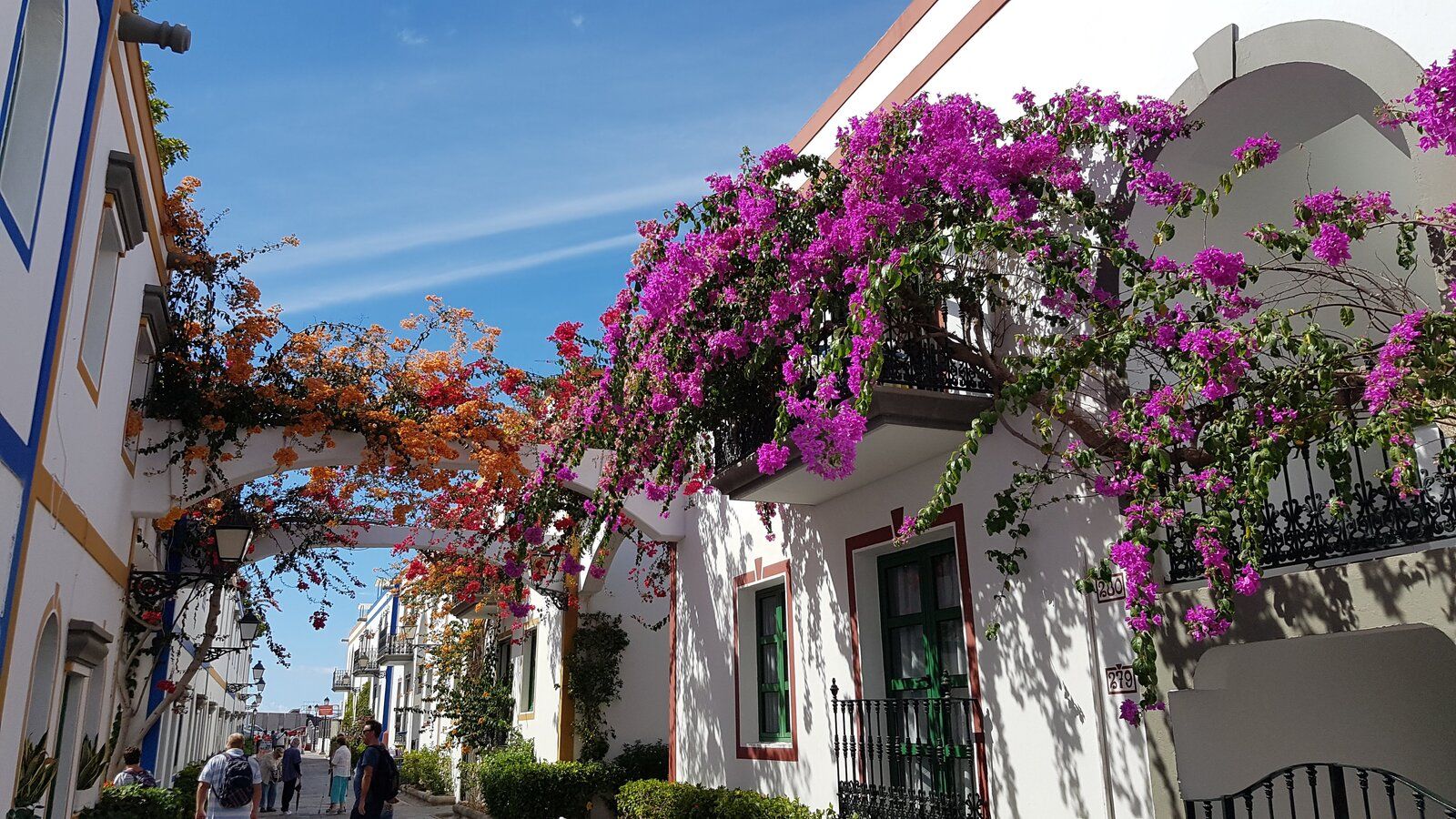 20181021_152347.jpg