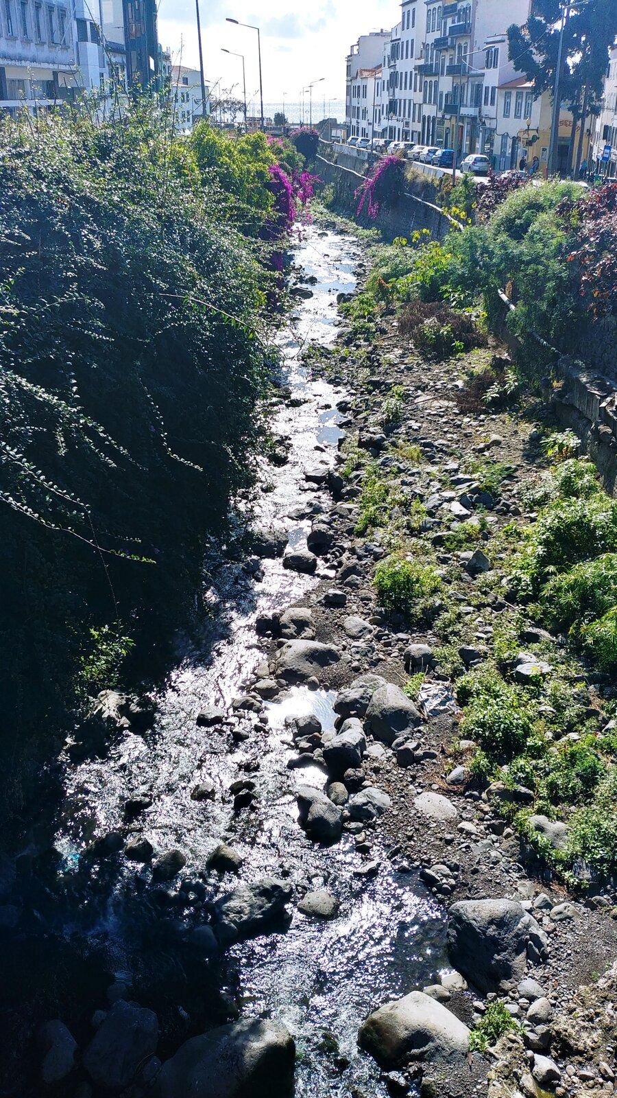 20190216_111913_HDR.jpg