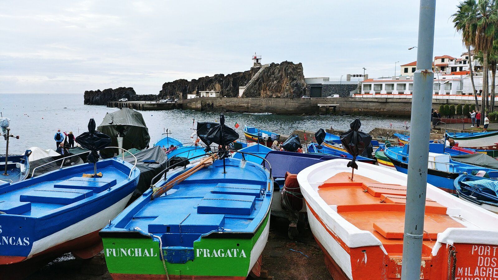 20190217_092943_HDR.jpg