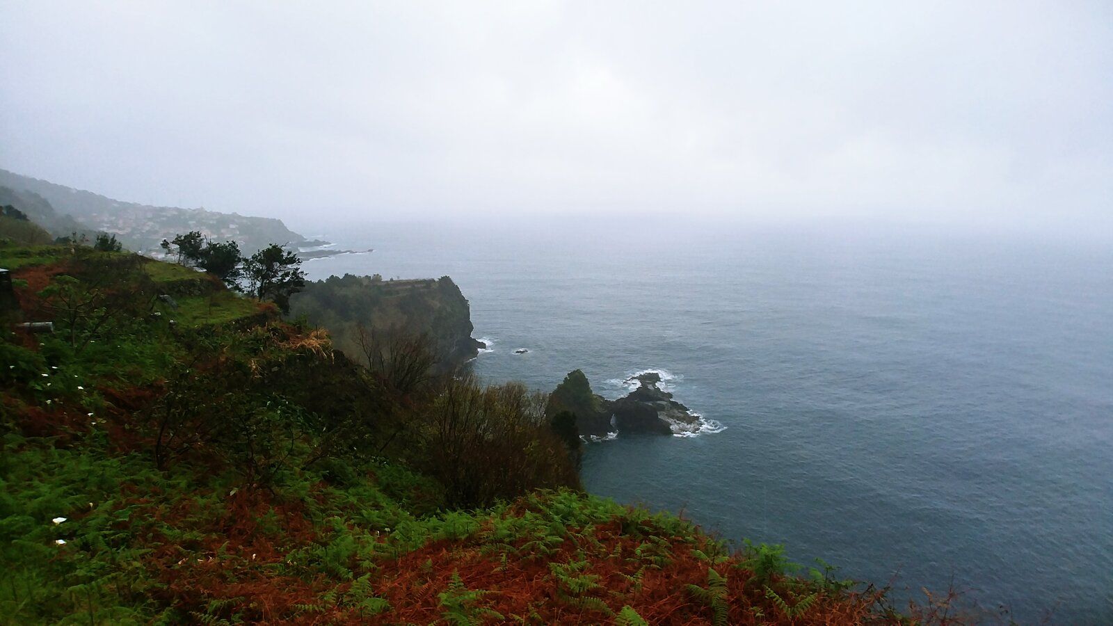 20190217_151053_HDR.jpg