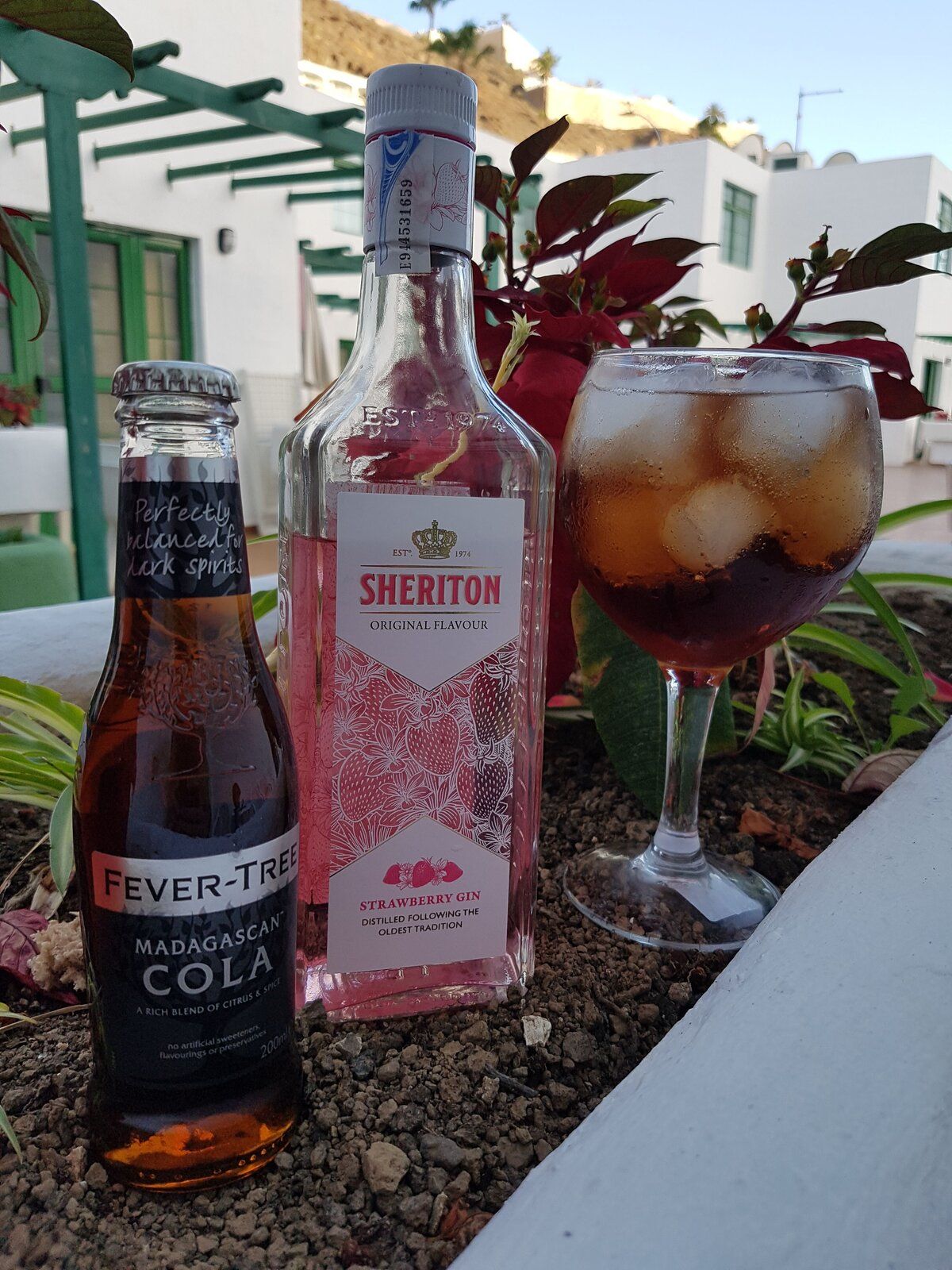 20190411_194558.jpg