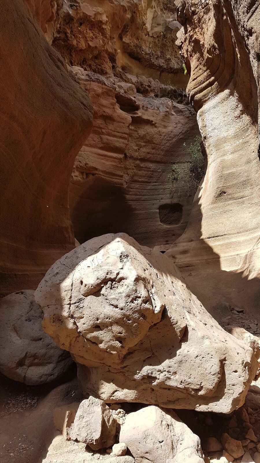 20190416_120056.jpg