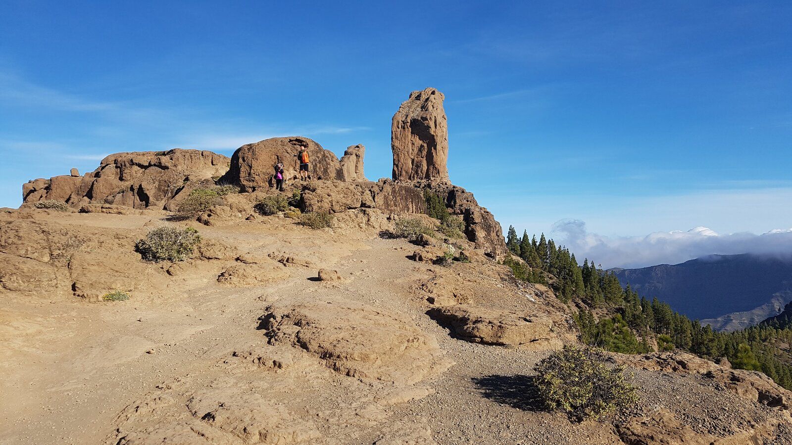 20190418_092808.jpg