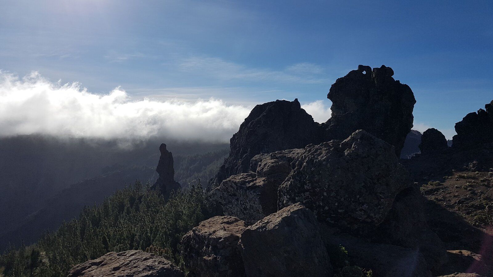 20190418_092813.jpg