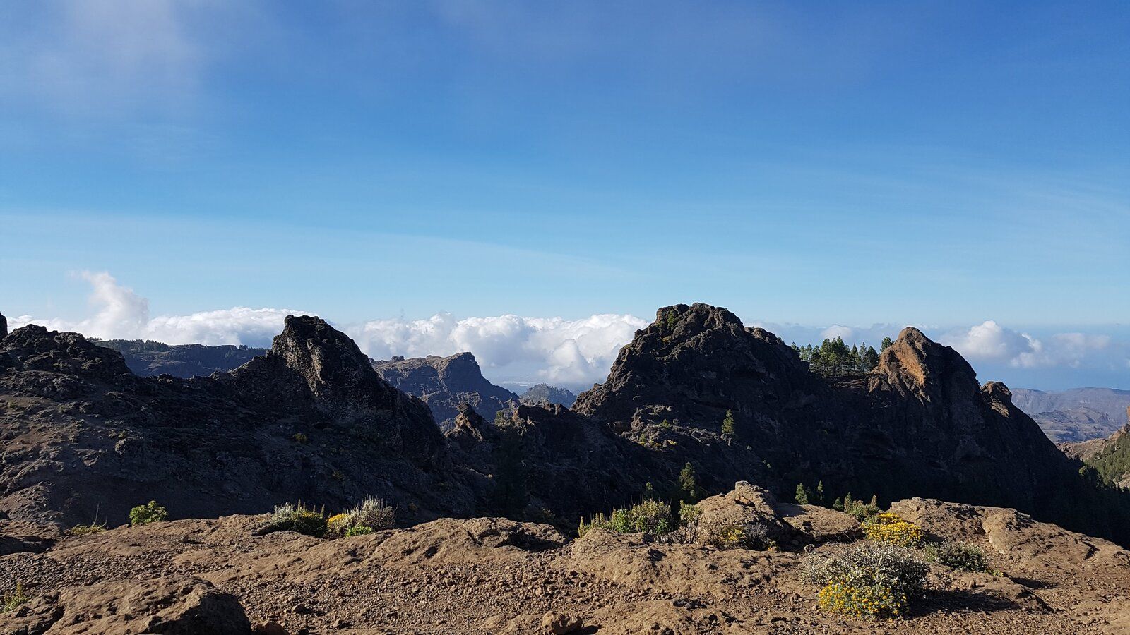 20190418_092901.jpg